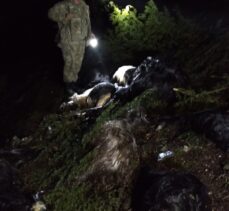 Kahramanmaraş'ta yıldırım isabet eden 41 keçi telef oldu