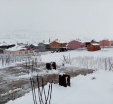 Malatya, Kahramanmaraş ve Şanlıurfa'da kar yağışı etkili oldu