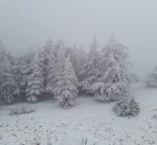 Manisa'da kar yağışı etkili oluyor