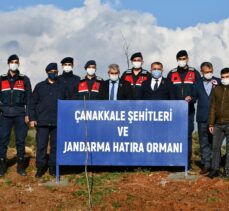 Manisa'da Şehitler Alanı ve Çanakkale Şehitleri ve Jandarma Hatıra Ormanı oluşturuldu