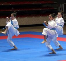 Türkiye Kulüplerarası Takım Karate Şampiyonası, Yalova'da başladı
