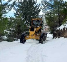Adana'da kar nedeniyle kapanan yayla yolları açıldı