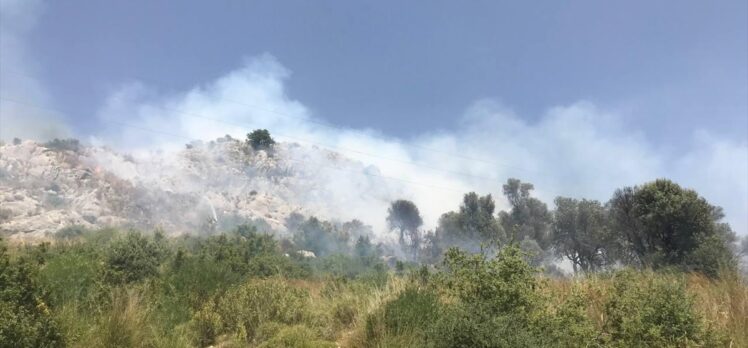 GÜNCELLEME – Antalya'da zeytinlik ve makilik alanda çıkan yangın kontrol altına alındı