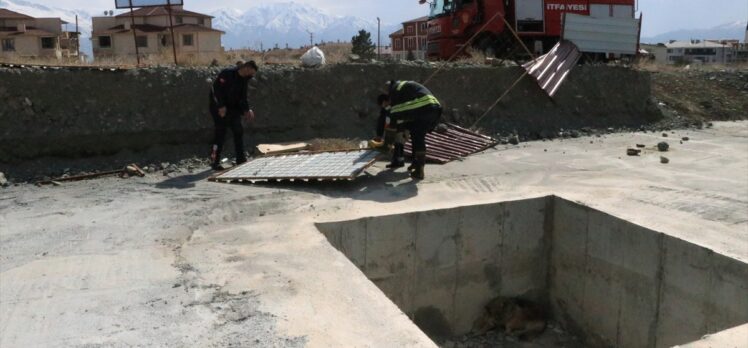 Erzincan'da inşaat çukuruna düşen köpeği itfaiye ekipleri kurtardı