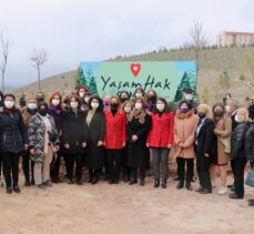 Eskişehir'de CHP Kadın Kolları tarafından “Yaşam Hak Ormanı” oluşturuldu
