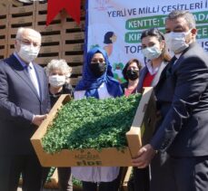 İzmir'de yerli tohumlardan elde edilen sebze fideleri 15 bin kadına dağıtılıyor