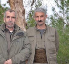 Kırmızı bültenle aranan eylem hazırlığındaki PKK/KCK'lı terörist etkisiz hale getirildi