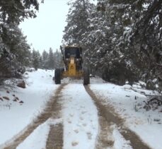 Mersin'de kar nedeniyle kapanan yayla yolları açıldı