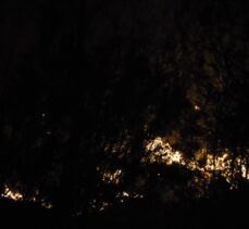 GÜNCELLEME 2 – Muğla'da orman yangını çıktı