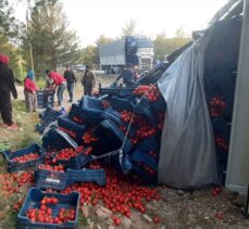 Muğla'da tarım işçileri devrilen kamyondaki domatesleri toplamak için seferber oldu