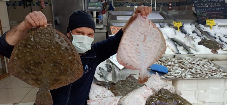 Sinop'ta ağlara takılan kalkan balıkları balıkçıların yüzünü güldürdü