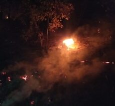 Adana'nın Kozan ilçesinde orman yangını çıktı