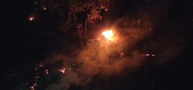 Adana'nın Kozan ilçesinde orman yangını çıktı