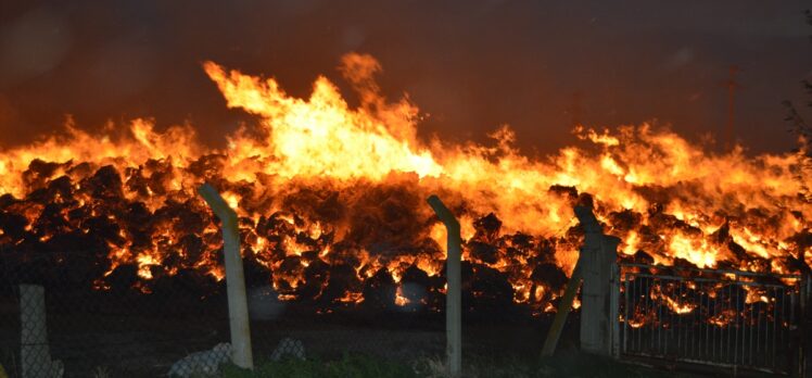 GÜNCELLEME – Afyonkarahisar'da biyokütle enerji santralinde yangın çıktı