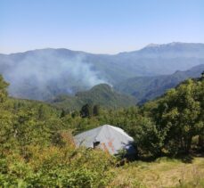 Amanos Dağları'ndaki örtü yangınına müdahale ediliyor