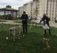 Ardahan'da “tam kapanma” uygulamasında sokak hayvanları unutulmadı