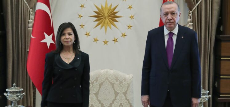 Arjantin Büyükelçisi Salas, Cumhurbaşkanı Erdoğan'a güven mektubu sundu