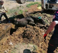 Bingöl'de çamura saplanarak mahsur kalan ineği itfaiye ekibi kurtardı