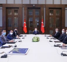 Fuat Oktay, Bakan Pakdemirli ile KKTC Tarım ve Doğal Kaynaklar Bakanı Çavuşoğlu'nu kabul etti