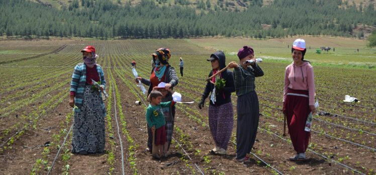 Gaziantep'e tarlada çalışan kadınlara “Anneler Günü” sürprizi