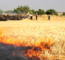 Gaziantep'te buğday ekili tarlalarda yangın çıktı