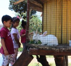 Hatay'da öğretmenler anaokuluna mini hayvanat bahçesi kurdu