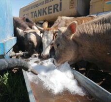 Kayseri'de Kovid-19 karantinasında bulunan besicinin hayvanlarının su ihtiyacını belediye karşıladı