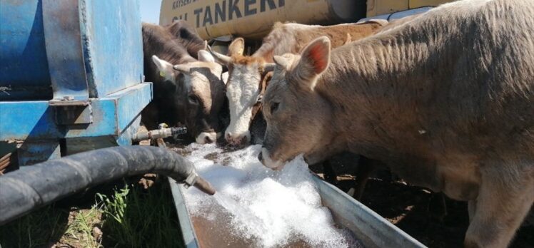 Kayseri'de Kovid-19 karantinasında bulunan besicinin hayvanlarının su ihtiyacını belediye karşıladı
