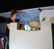 Muğla'da apartmanın bacasında mahsur kalan kedi yavruları kurtarıldı