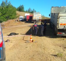 Muğla'da kamyonun ezdiği orman işçisi hayatını kaybetti
