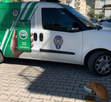 Osmaniye'de evde mahsur kalan sokak kedisi kurtarıldı