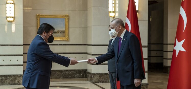 Şili Büyükelçisi Castro, Cumhurbaşkanı Erdoğan'a güven mektubu sundu