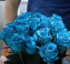Yalova'daki çiçek mezatlarında Anneler Günü öncesi satışlar 3 kat arttı