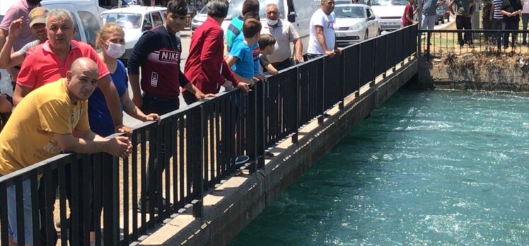 Adana'da sulama kanalına giren iki kişiden biri kayboldu