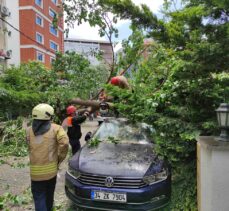 Ataşehir'de otomobilin üzerine ağaç devrildi