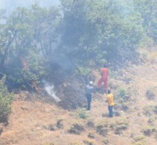 Bingöl'de ormanlık alanda çıkan yangına müdahale sürüyor