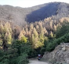 Denizli'de 5 hektarlık alanın zarar gördüğü orman yangınının başlangıç noktasında mangal bulundu