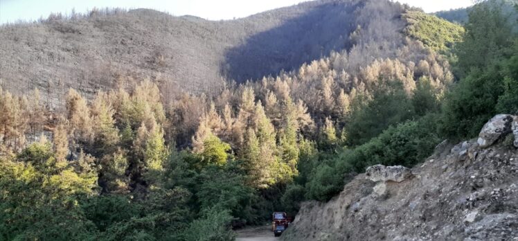 Denizli'de 5 hektarlık alanın zarar gördüğü orman yangınının başlangıç noktasında mangal bulundu