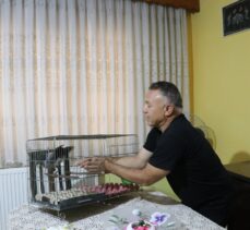Denizlili sağlık memuru Mehmet Çolak sokakta yaralı bulduğu kargayı evinde tedavi etti