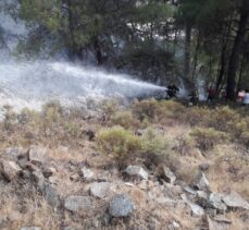 Fethiye'deki orman yangını söndürüldü