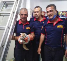 Kilis'te bir marketin duvarında sıkışan kediyi itfaiye kurtardı