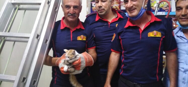 Kilis'te bir marketin duvarında sıkışan kediyi itfaiye kurtardı