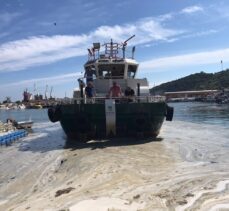 Marmara Adası sahilindeki müsilaj temizleniyor