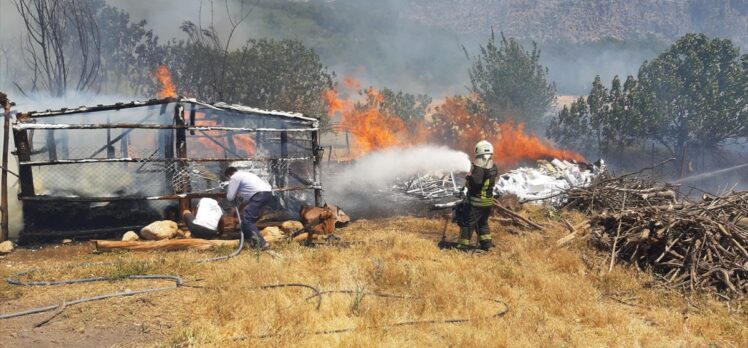 Muğla'da çıkan arazi, anız ve konteyner yangınları söndürüldü