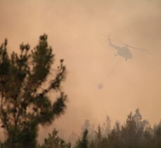 GÜNCELLEME – Muğla'daki orman yangını kontrol altına alındı