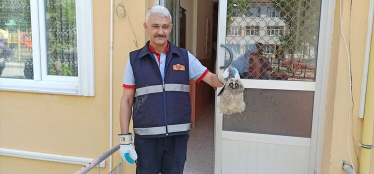 Tokat'ta apartman boşluğuna düşen baykuş yavrusunu itfaiye kurtardı