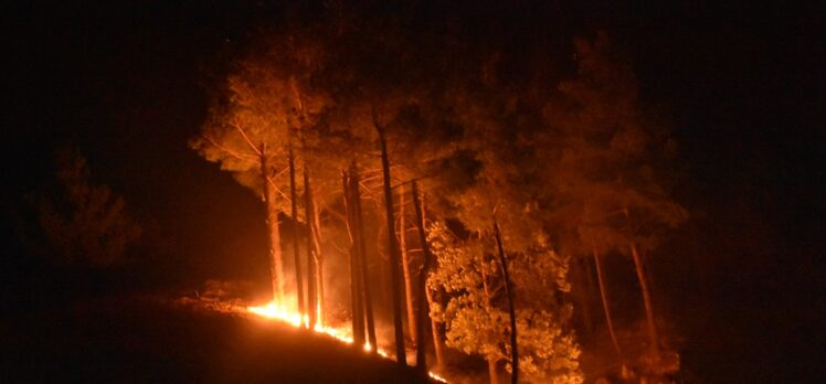 Adana Kozan'daki orman yangınına müdahale sürüyor