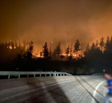 Adana'nın Kozan ilçesinde çıkan orman yangını nedeniyle 5 köy tahliye edildi