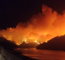 GÜNCELLEME – Adana'da çıkan orman yangınına müdahale ediliyor