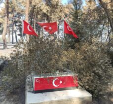 Adana'daki orman yangınında hasar oluşan mezarlıkta şehit kabri ve Türk bayrakları zarar görmedi